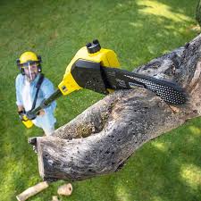 Best Tree and Shrub Care  in Kenmar, PA